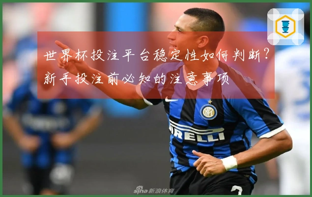 世界杯投注平台稳定性如何判断?新手投注前必知的注意事项